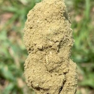 D8 Tetrahydrocannabinol 10 Minutes A Day To Grow Your Business