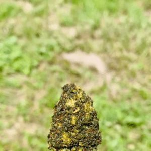Who Else Wants To Know How Celebrities Delta 8 Tetrahydrocannabinol?